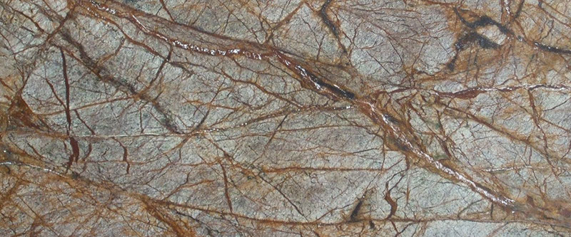 Rain Forest Brown